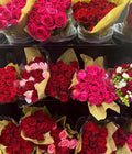 Premium Roses